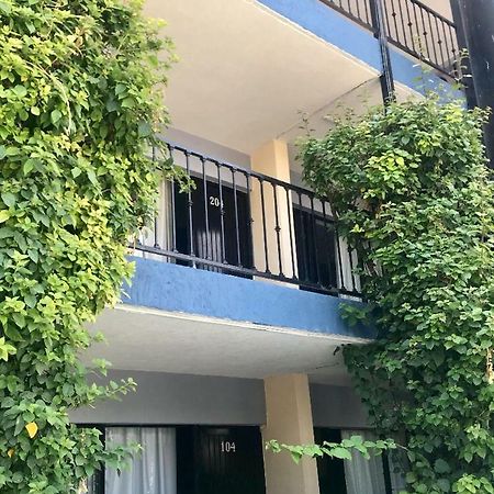 Hotel Nuevo Vallarta Zapopan Dış mekan fotoğraf